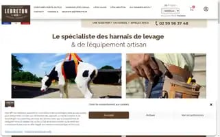 Ceinture-porte-outils-harnais-leve-cheval.com Screenshot 2024-05-27 17:20:45