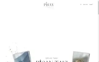 Pisaytaki.com Screenshot 2024-05-27 16:34:52