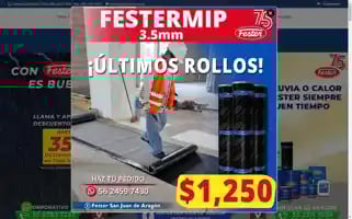 Festermx.com Screenshot 2024-06-15 13:07:50