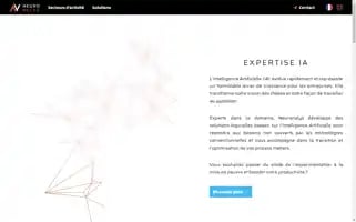 Neuronalys.ai Screenshot 2024-07-04 12:13:00