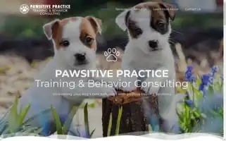 Pawsitivepractice.com Screenshot 2024-06-12 04:57:30