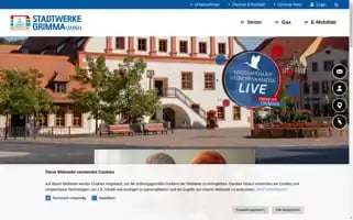 Stadtwerke-grimma.de Screenshot 2024-06-15 14:50:28