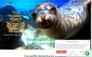 Thisiscarpedm.com Screenshot 2024-06-17 13:09:15