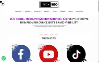 1techseo.com Screenshot 2024-05-24 05:25:27
