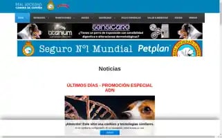 Rsce.es Screenshot 2024-06-28 12:53:45