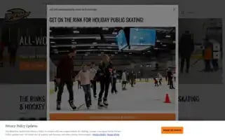 Therinks.com Screenshot 2024-05-14 10:42:04
