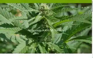 Kasuminaturals.com Screenshot 2024-04-17 15:47:14