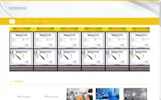Syonehealth.com Screenshot 2024-07-09 20:58:32