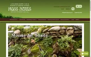 Mossacres.com Screenshot 2024-05-04 20:58:07