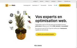 Pinadata.com Screenshot 2024-06-18 13:18:58