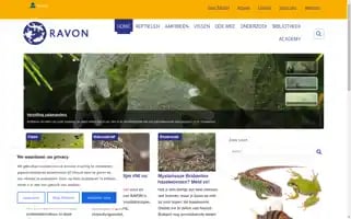 Ravon.nl Screenshot 2024-07-10 03:26:36
