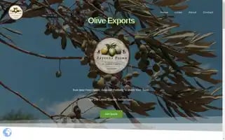 Zaytunaprima.org Screenshot 2024-05-27 09:29:16