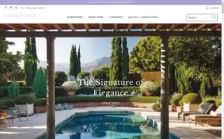 Saladinostyle.com Screenshot 2024-05-05 00:32:53