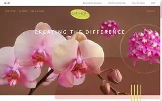 Optiflor.nl Screenshot 2024-06-29 19:22:21