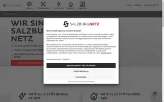 Salzburgnetz.at Screenshot 2024-07-05 16:13:35