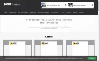 Moozthemes.com Screenshot 2024-06-17 19:01:38