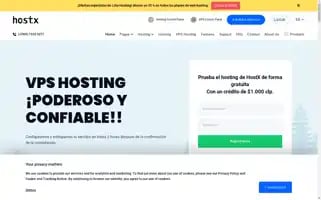 Litiohosting.cl Screenshot 2024-06-17 17:09:19