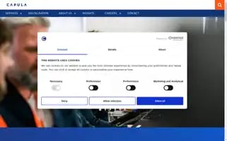 Capula.com Screenshot 2024-07-01 14:08:31