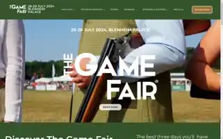 Thegamefair.org Screenshot 2024-05-14 08:56:37