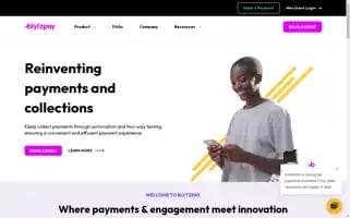 Blytzpay.com Screenshot 2024-06-12 23:03:36