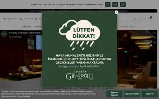 Karakoygulluoglu.com Screenshot 2024-06-16 18:19:33