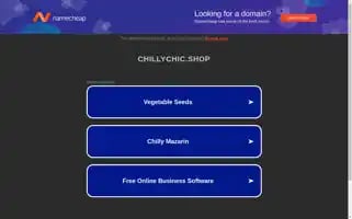 Chillychic.shop Screenshot 2024-05-24 13:15:46