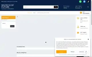 Wiltechoffuture.com Screenshot 2024-05-28 20:08:33