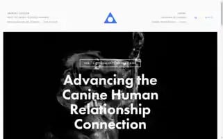 Chrinstitute.com Screenshot 2024-06-13 17:12:21