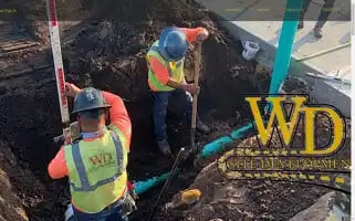 Wdsitefl.com Screenshot 2024-07-01 21:50:09