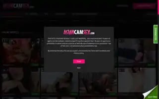 Asiancamsex.com Screenshot 2024-07-07 03:07:18