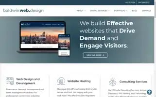 Baldwinwebdesign.com Screenshot 2024-06-13 00:26:14
