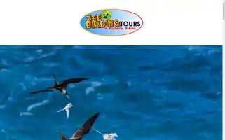 Zeetourstobago.com Screenshot 2024-04-27 00:03:18