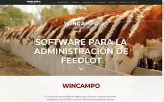 Wincampo.com Screenshot 2024-07-09 06:17:02