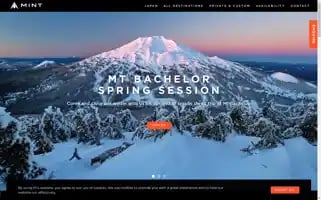 Minttours.com Screenshot 2024-04-15 18:41:04