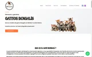 Gatobengali.mx Screenshot 2024-05-25 11:23:01
