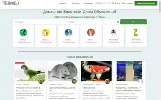 Slonpet.com Screenshot 2024-06-16 01:30:34