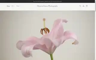Monicalianaphotography.com Screenshot 2024-04-27 16:46:49