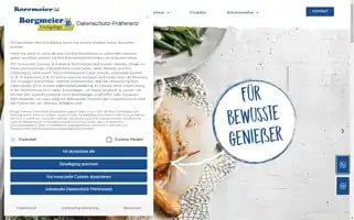 Borgmeier.com Screenshot 2024-07-09 23:28:30