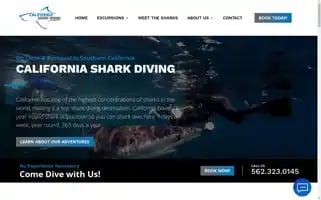 Californiasharkdiving.com Screenshot 2024-06-13 07:06:06