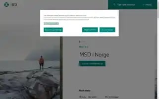 Msd.no Screenshot 2024-07-06 16:37:48