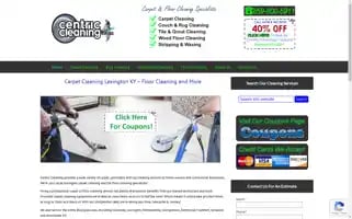 Centriccleaning.com Screenshot 2024-05-15 17:03:21