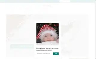 Stitchelf.com Screenshot 2024-05-04 20:40:42