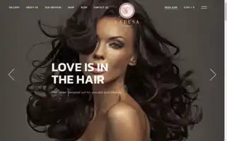 Medusastudiospvs.com Screenshot 2024-05-28 22:08:57