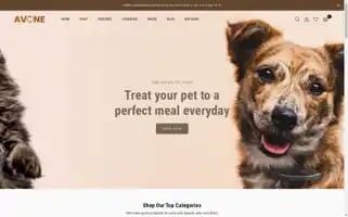 Avone-demo.myshopify.com Screenshot 2024-05-05 17:14:22