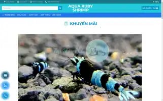 Tepruby.com Screenshot 2024-05-18 21:14:57