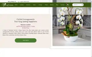Vivaorchids.com Screenshot 2024-06-26 21:43:17