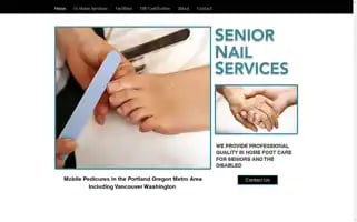 Seniornailservices.com Screenshot 2024-05-16 16:44:07