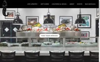 Themermaidnyc.com Screenshot 2024-07-06 13:33:18