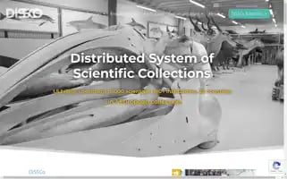 Dissco.eu Screenshot 2024-06-30 10:39:53