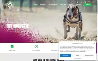 Nationalebullterrierdag.com Screenshot 2024-06-18 18:56:13